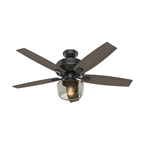 Hunter 54187: 16479_1.jpg (Variant Image)