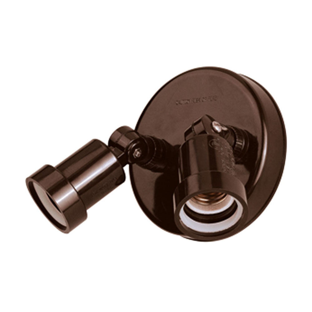 Acclaim Lighting FL2ABZ: 559808.jpg