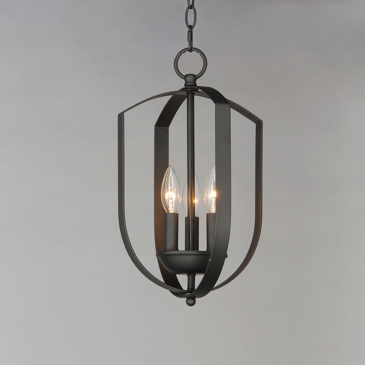 Maxim Lighting 10033BK: 1124175-2.jpg