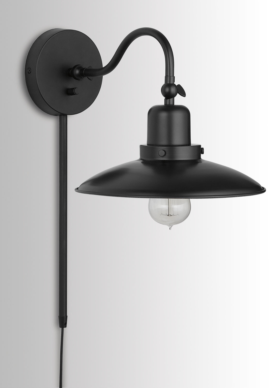 Dewitt 1-Light Outdoor Wall Sconce with Metal Shade