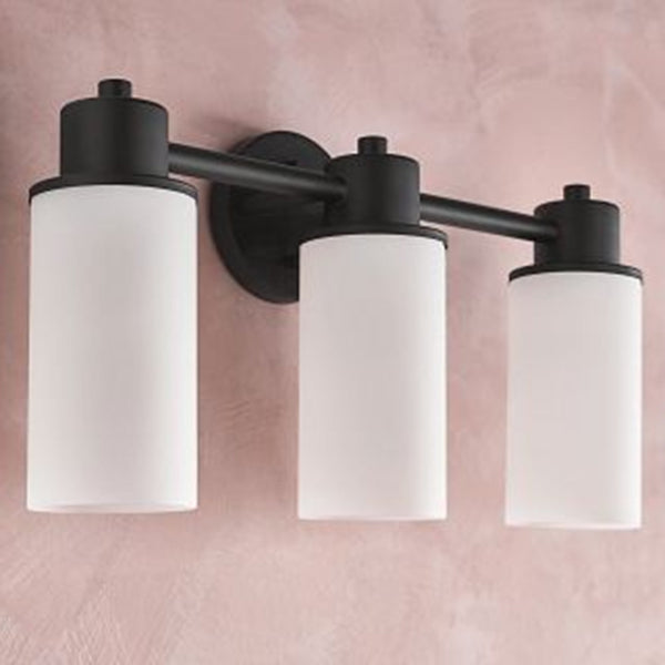 Moen DN0763BL