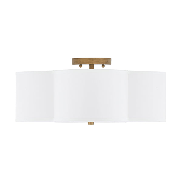 Capital Lighting 4453BG-561: 198992_1.jpg (Variant Image)