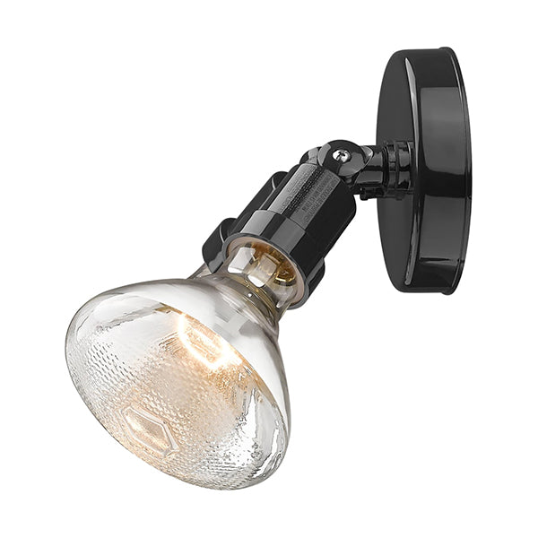 Acclaim Lighting FL2ABZ