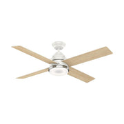 Hunter 59413: 139697_1.jpg (Variant Image)