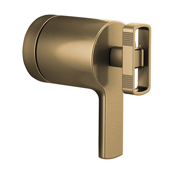 Brizo HK6006-GL: 131086_1.jpg (Variant Image)