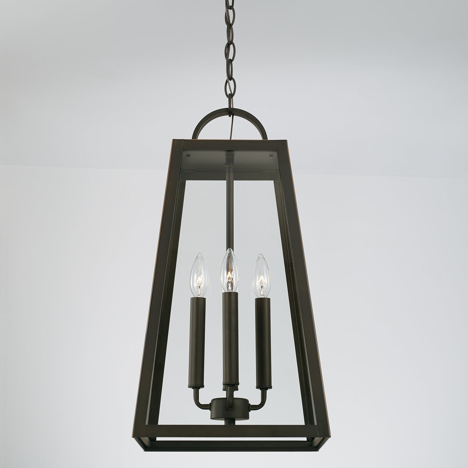 Leighton 4-Light Outdoor Hanging Lantern with Clear Glass Shade, Black