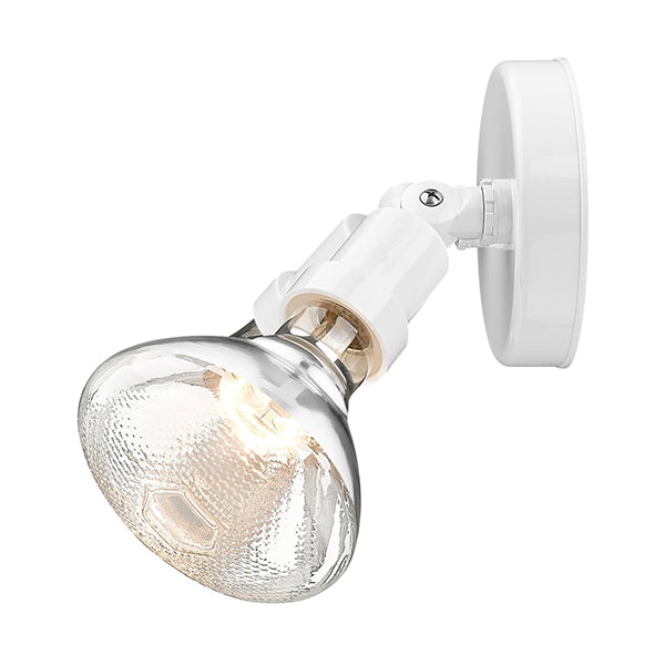 Acclaim Lighting FL2ABZ