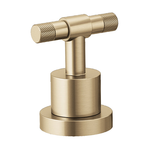 Brizo HL633-GL: 10295_1.jpg (Variant Image)