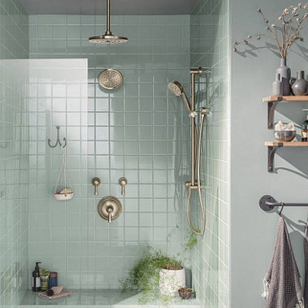 Moen 226651BN