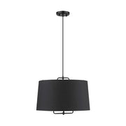 Acclaim Lighting TP30031BK
