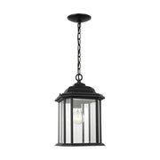 Generation Lighting 60031-12