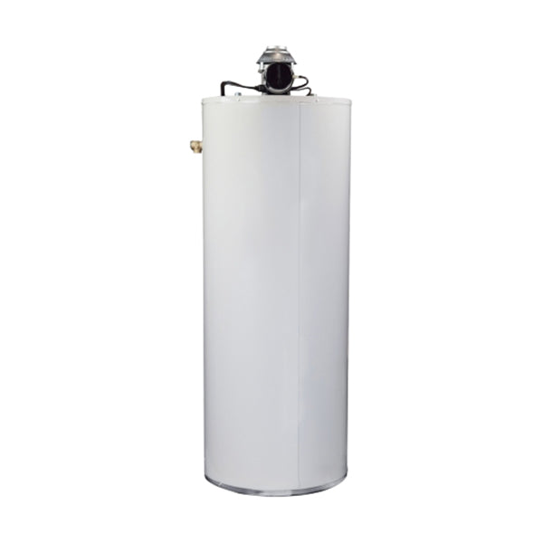 Bradford White RG2D40S6N