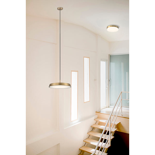 Access Lighting 20825LEDD-BS/OPL