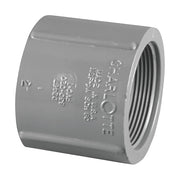 Charlotte Pipe 8102-2IN