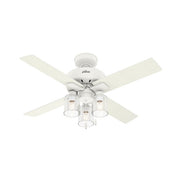 Hunter 50330: 119917_1.jpg (Variant Image)