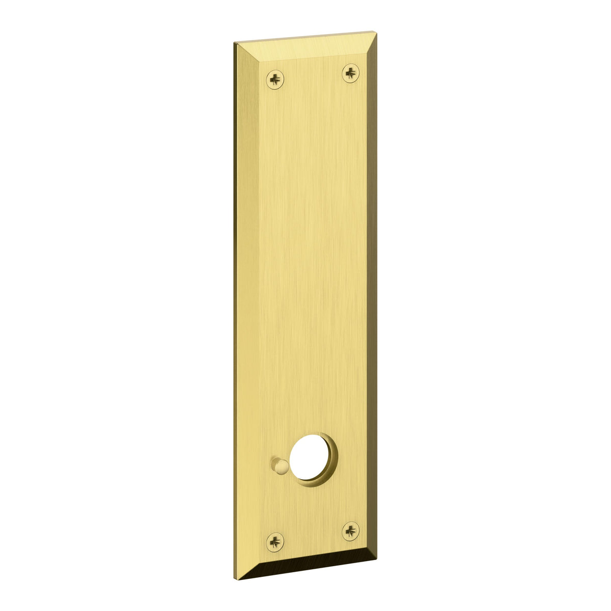 Baldwin Hardware R035.044.PV